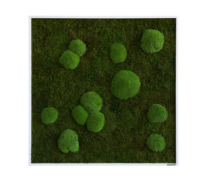 Bild aus Wald- und Kugelmoos, quadratisch, ca. B80/H80/T7 cm