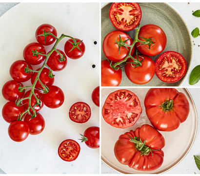 Bioland Gemüseset Tomatensalat, 3-teilig