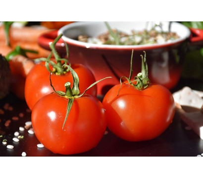 Bioland Tomate, veredelt