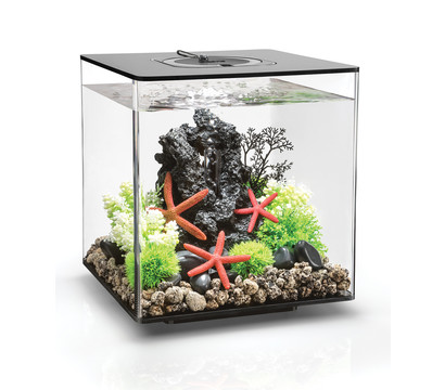 biOrb® Aquarium CUBE 30 MCR