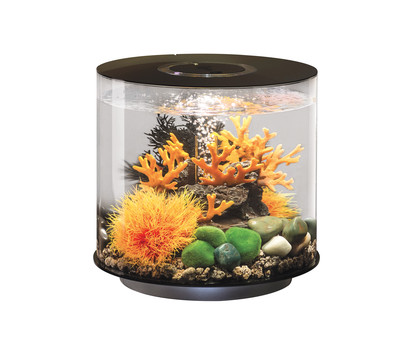 biOrb® Aquarium TUBE 15 MCR