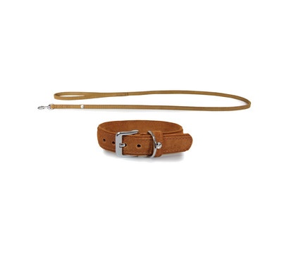 Das Lederband Halsband/Leinen-Set Style Toronto Cognac