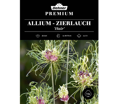 Dehner Blumenzwiebel Allium-Zierlauch 'Hair', 15 Stk.