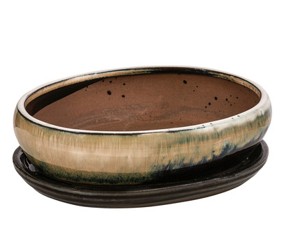 Dehner Keramik-Bonsaischale, oval, creme/dunkelbraun, ca. B21/H6/T16,5 cm