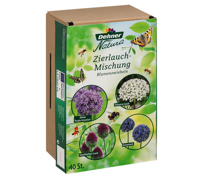 Dehner Natura Blumenzwiebel-Mischung 'Zierlauch-Mischung', 40 Stk.
