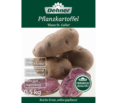 Dehner Premium Pflanzkartoffel 'Blauer St. Galler'
