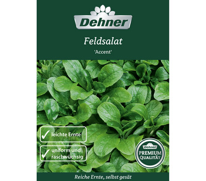 Dehner Premium Samen Feldsalat 'Accent'