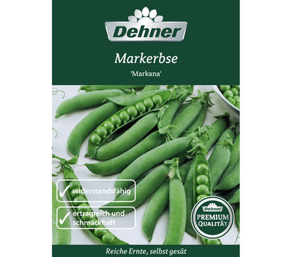 Dehner Premium Samen Markerbse 'Markana'