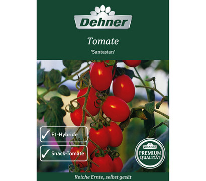 Dehner Premium Samen Tomate Santasian, F1-Hybride