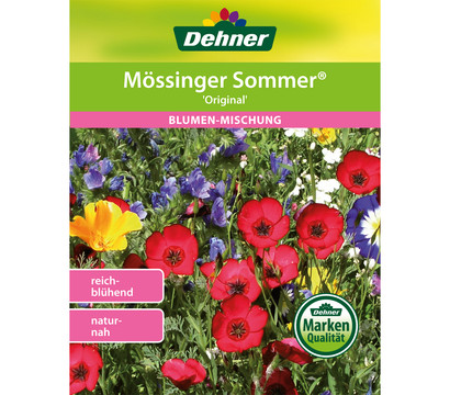 Dürr Samen niedere Abmischung für 6qm 40-60cm Mössinger Blumenmsichung