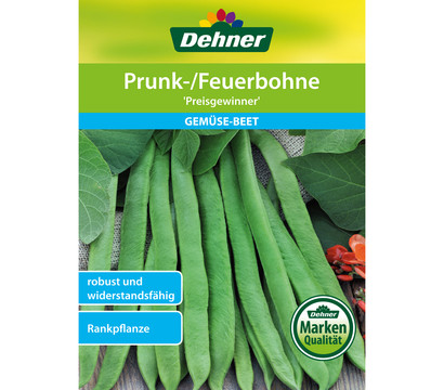 Dehner Samen Prunk-/Feuerbohne 'Preisgewinner'