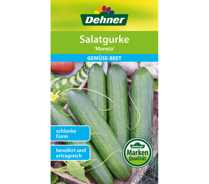 Dehner Samen Salatgurke 'Moneta'