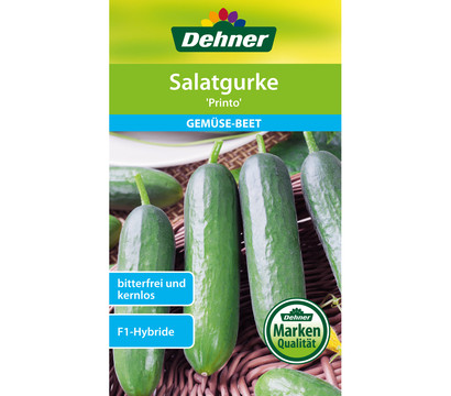Dehner Samen Salatgurken 'Printo'