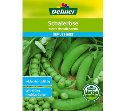 Dehner Samen Schalerbse 'Kleine Rheinländerin'
