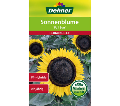 Dehner Samen Sonnenblume 'Full Sun'