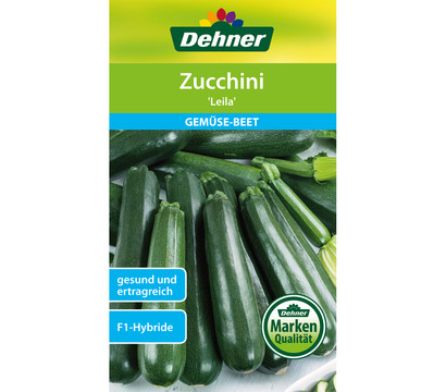 Dehner Samen Zucchini 'Leila'