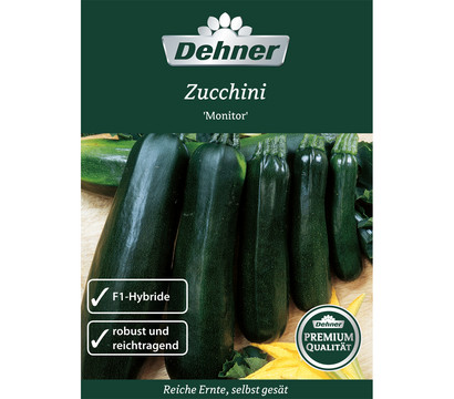 Dehner Samen Zucchini 'Monitor'