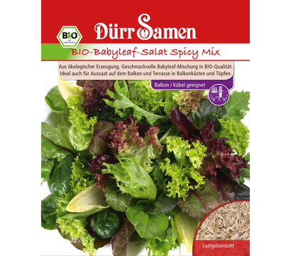 Dürr Samen Bio-Babyleaf Salat 'Spicy Mix'