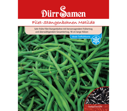 Dürr Samen Filet-Stangenbohne 'Matilda'