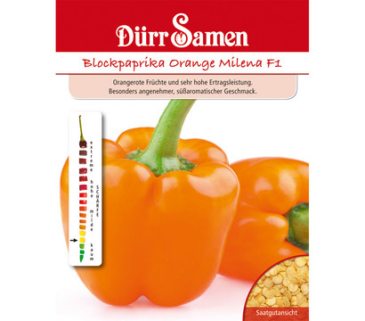 Dürr Samen Paprika 'Orange Milena'