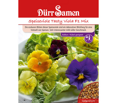 Dürr Samen Speiseviole 'Tasty Viola'
