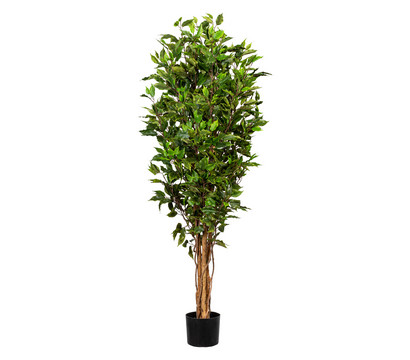 Gasper Kunstpflanze Ficus Benjamini, ca. H150 cm