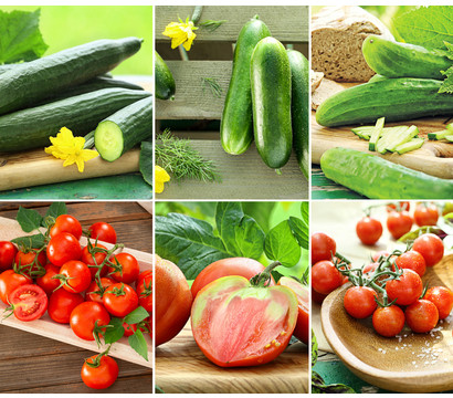 Gemüseset 'Red & Green For More Vitamin', 6-teilig