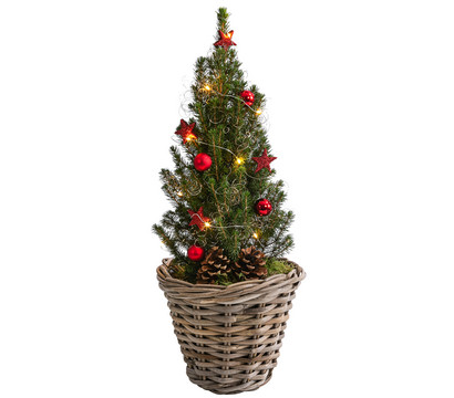 Geschmückter Weihnachtsbaum 'Kubu', mit Lichterkette, ca. H50 cm