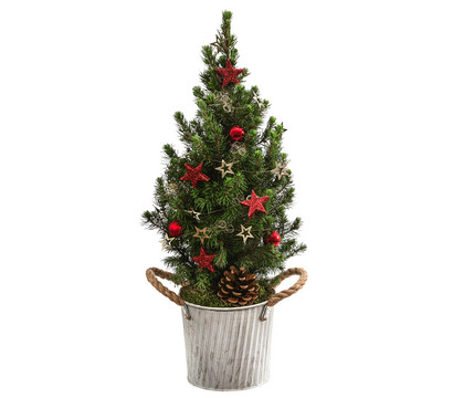 Geschmückter Weihnachtsbaum 'Linus', Zuckerhutfichte, ca. H45 cm