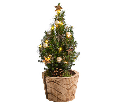Geschmückter Weihnachtsbaum 'Loxley', mit Lichterkette, ca. H45 cm