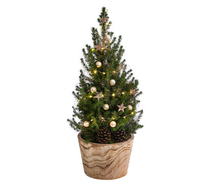 Geschmückter Weihnachtsbaum Loxley, mit Lichterkette, ca. H70 cm