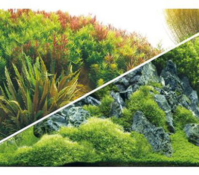 Hobby® Aquarium Rückwand Planted River/Green Rocks