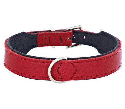 HUNTER® Hundehalsband Basic, rot/schwarz