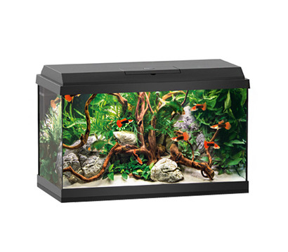 JUWEL® AQUARIUM Aquarium Set Primo 60 LED, schwarz