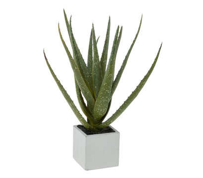 Kunstpflanze Aloe