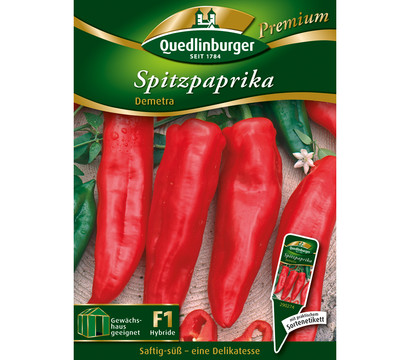 Quedlinbruger Spitzpaprika 'Demetra'