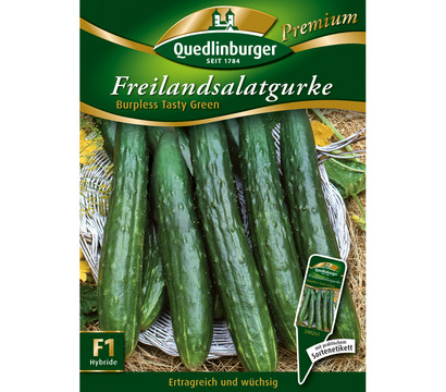 Quedlinburger Freilandsalatgurke 'Burpless Tasty Green'