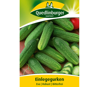 Quedlinburger Samen Einlegegurke 'Eva'