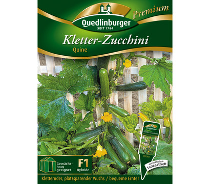Quedlinburger Samen Kletter-Zucchini 'Quine'