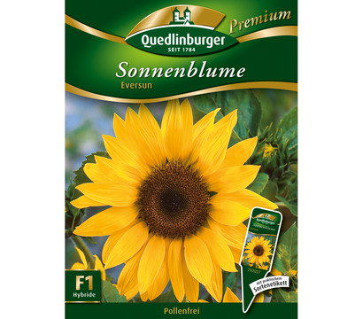 Quedlinburger Samen Sonnenblume 'Eversun'