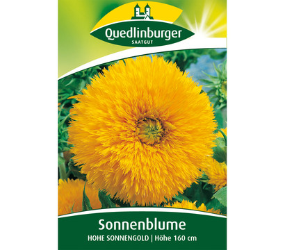 Quedlinburger Samen Sonnenblume 'Hohe Sonnengold'