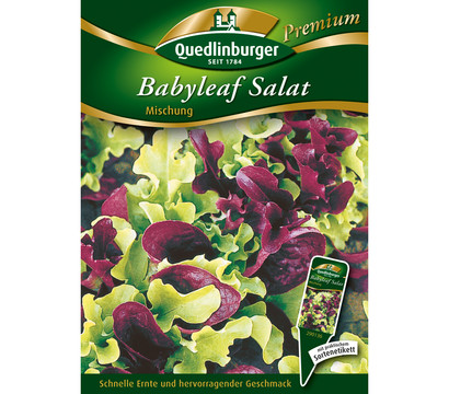 Quedlingburger Samen Salat 'Babyleaf'