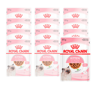 ROYAL CANIN® Nassfutter für Katzen Instinctive Kitten in Sauce, 12 x 85 g