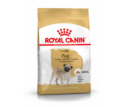 ROYAL CANIN® Trockenfutter Pug Adult