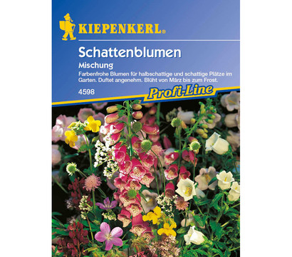 Schattenblumen Mix, Saatgut von Kiepenkerl