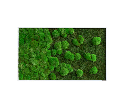 styleGREEN Bild aus Wald- und Kugelmoos im Verlauf, ca. B100/H60/T7 cm