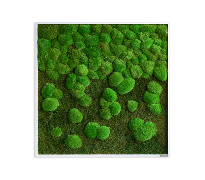 styleGREEN Bild aus Wald- und Kugelmoos im Verlauf, ca. B80/H80/T7 cm