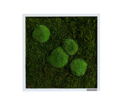 styleGREEN Bild aus Wald- und Kugelmoos, quadratisch, ca. B35/H35/T6 cm