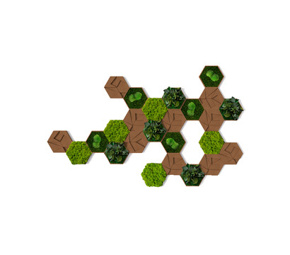 styleGREEN Bilder-Set aus Moos und Kork, Hexagon, 25-teilig