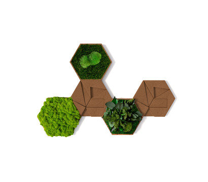 styleGREEN Bilder-Set aus Moos und Kork, Hexagon, 5-teilig